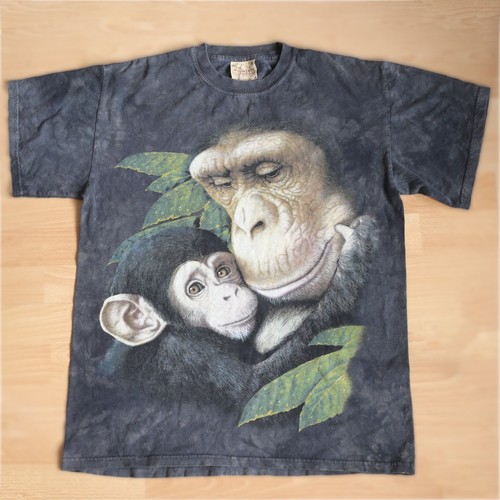 The mountain chimpanzee - chimpanzee, monkey