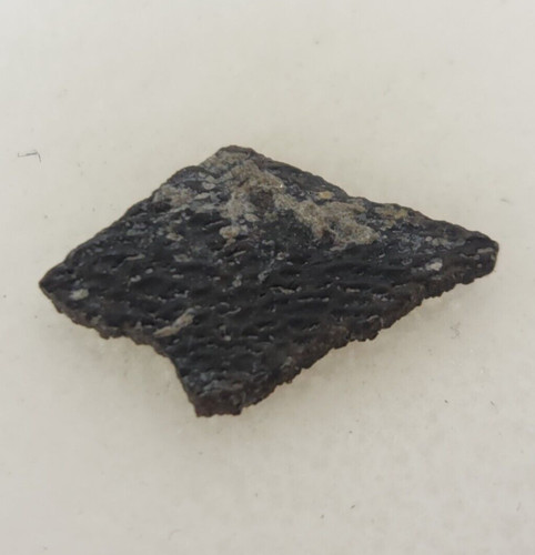 Hadrosaur egg shell fossil - hadrosaur,