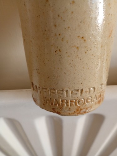 Early glaze harrogate preserve - early,