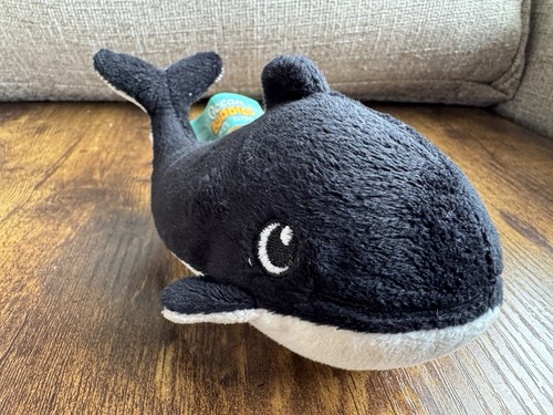 Ocean buddies killer whale - ocean,