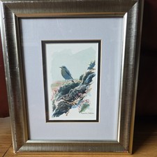 Beautiful Original Watercolour
