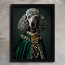 Aristocratic grey poodle - aristocratic,