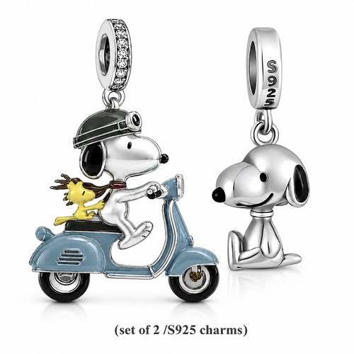 S925 sterling silver - x2),