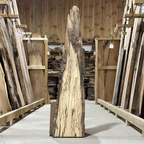 Spalted beech plank board - spalted,