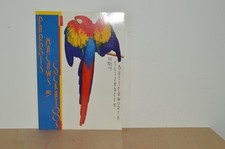 Parrots Macaws and Cockatoos -