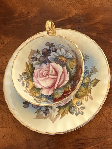 Aynsley cabbage rose teacup - rose,