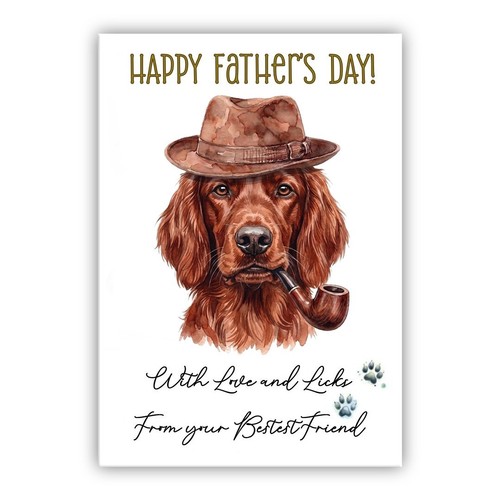 Irish red setter father - irish,