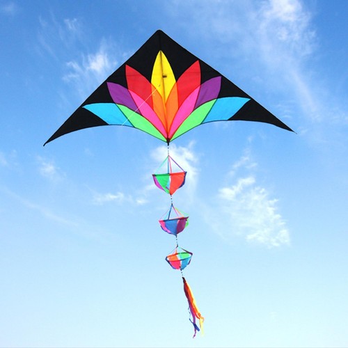 Giant delta kite huge - giant,