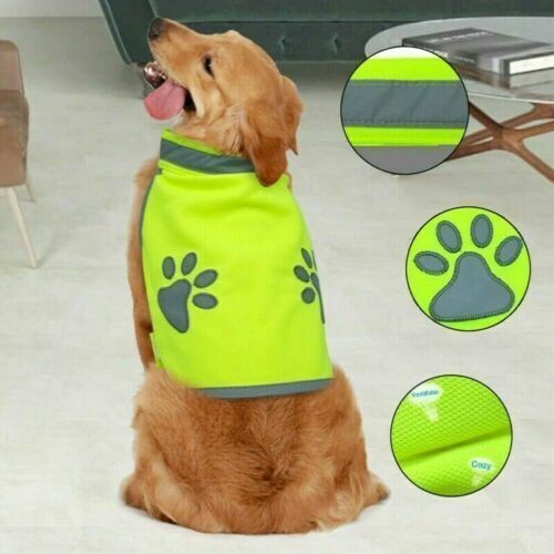 High pet vis coat - vis,