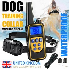 Dog Pet Training Collar