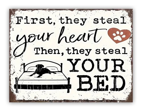 Funny dog bed aluminium metal - bed,