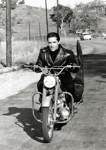 Elvis presley roustabout - presley,