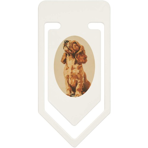 Cocker spaniel puppy - spaniel, puppy'