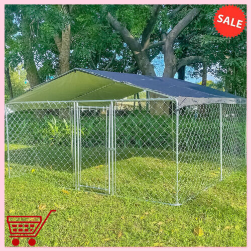 10ft outdoor pet dog - 10ft,