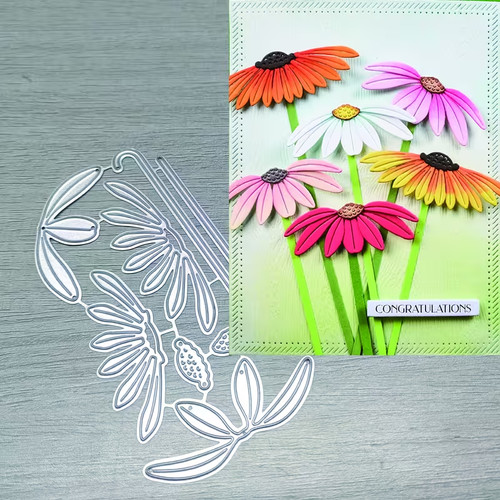 Daisy daises floral flowers - daises,