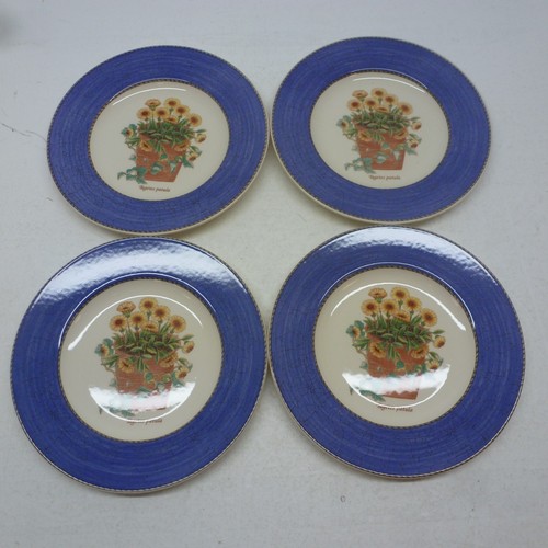 Wedgwood sarah garden 25 - sarah's, 8.25"