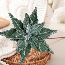 Christmas Flower Floral