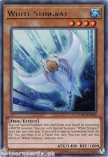 CYHO-EN096 White Stingray Rare