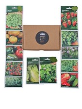 12 Plants Seed Box | Box with