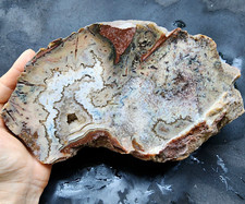 5.5 lbs (2.5 kg) Large Agate