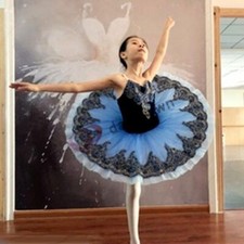 Professional Ballet Tutu Kids