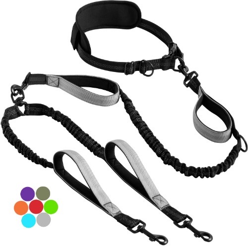 Anti pull double dog - dog, lead