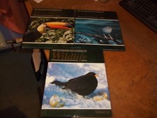 The Illustrated Encyclopedia