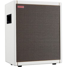 Positive Grid Spark CAB