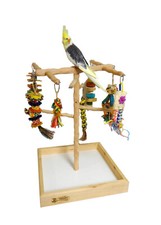 Small Tabletop Parakeet