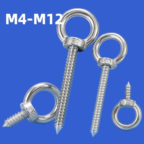 Stainless steel lifting - , eye