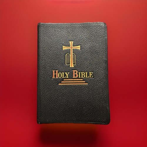 Holy bible new - bible, fine