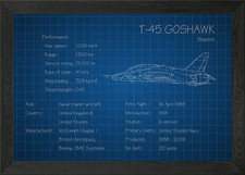 T45 Goshawk Framed Wall Art