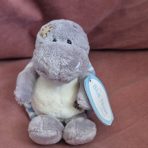 Blue nose friends shelley - friends, 4"