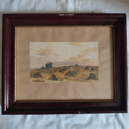 Juveneton watercolor - p,
