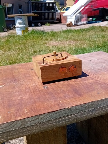 Antique style oak record - oak,