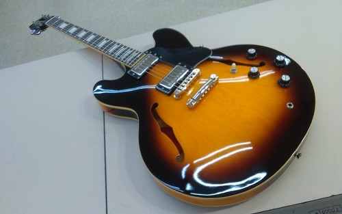 Burny srsa electric guitar - electric,