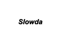 Slowda sticker/decal funny