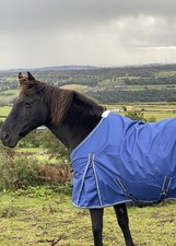 Lightweight Turnout Rugs 0g Waterproof 6'0" 6'3" 6'9" 7'0" Clearance SALE