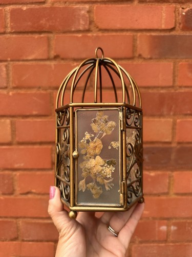 Vintage inspired pressed dried - vintage,