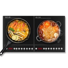 4400w 2200w electric - 4400w, induction