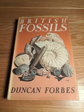 British fossils duncan - fossils,