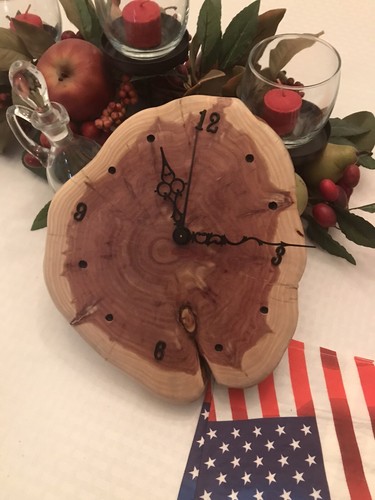 Band saw cedar tree - cedar,