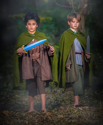 Frodo and sam - frodo, hobbit
