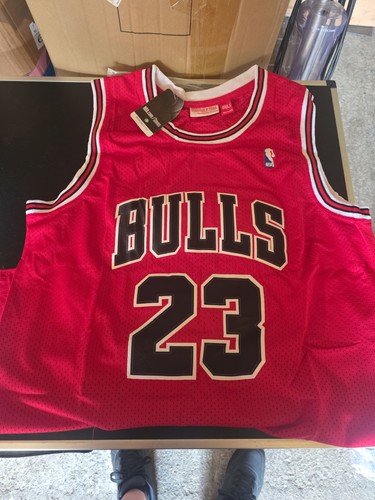 Chicago bulls nba hardwood - bulls,