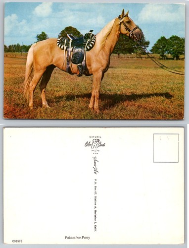 Vintage palomino horse pony - vintage,