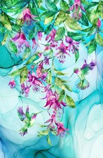 Concerto Fuchsia and