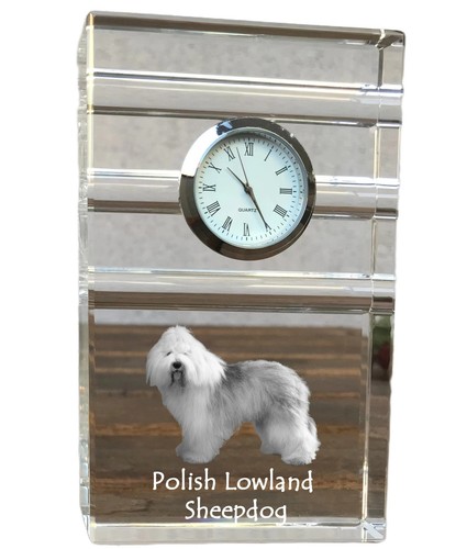 Polish lowland sheepdog pon - lowland, sheepdog,