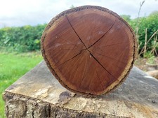 Large woodturning blank