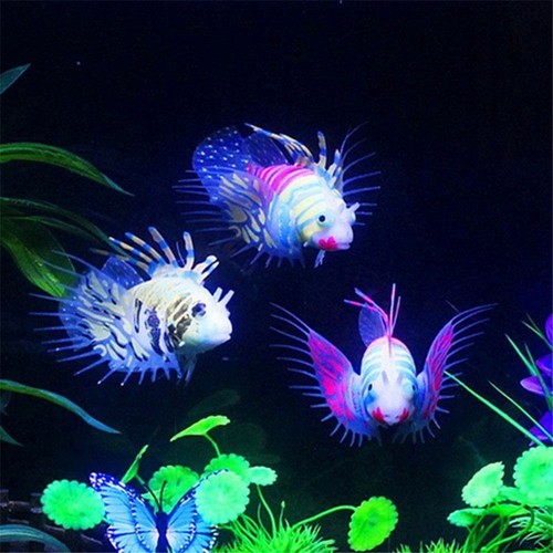 Aquarium artificial luminous - aquarium,