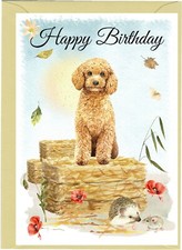 Poodle (Apricot) Dog (4"x 6")